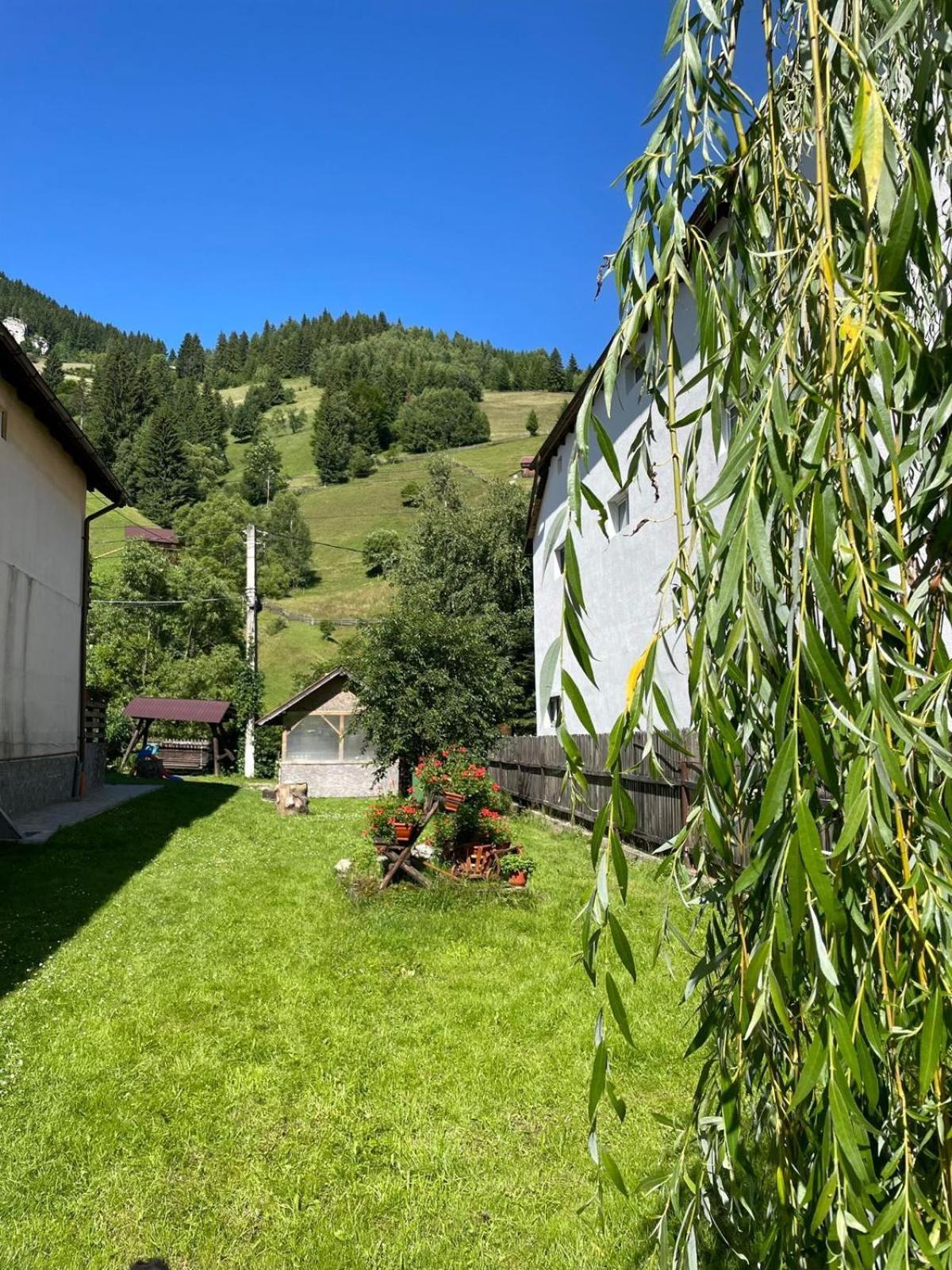 Casa Anastasia - Moieciu De Sus Moeciu De Sus Bagian luar foto